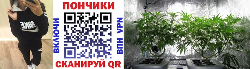 Купить Ветлуга A-PVP  Меф мяу мяу  Гашиш  Каннабис  КОКАИН 