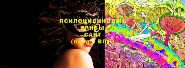 ПСИЛОЦИБИНОВЫЕ ГРИБЫ Протвино