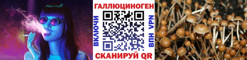 Галлюциногенные грибы Magic Shrooms  даркнет наркотические препараты  Ветлуга  kraken вход 